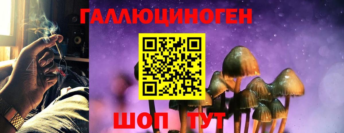 Псилоцибиновые грибы ЛСД Полысаево